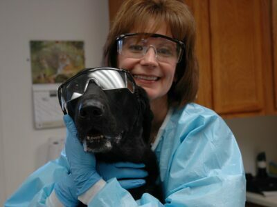 6 Tips For Caring For Pets Battling Cancer