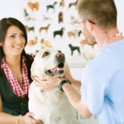 Everything You Need to Know About Pet Insurance