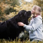 Large Breed Dogs Which Make Great Family Pets