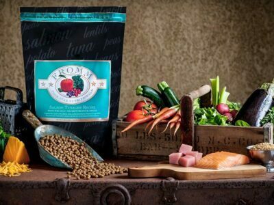 Salmon Dog Food What to Look for