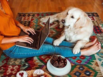 Understand how to Take Proper care of Your Pet Understand how to Take Proper care of Your Pet