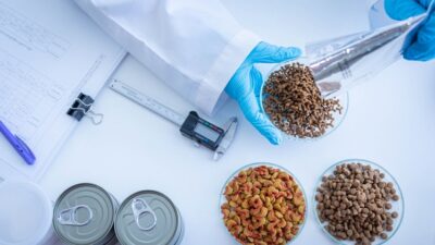 pet food processing